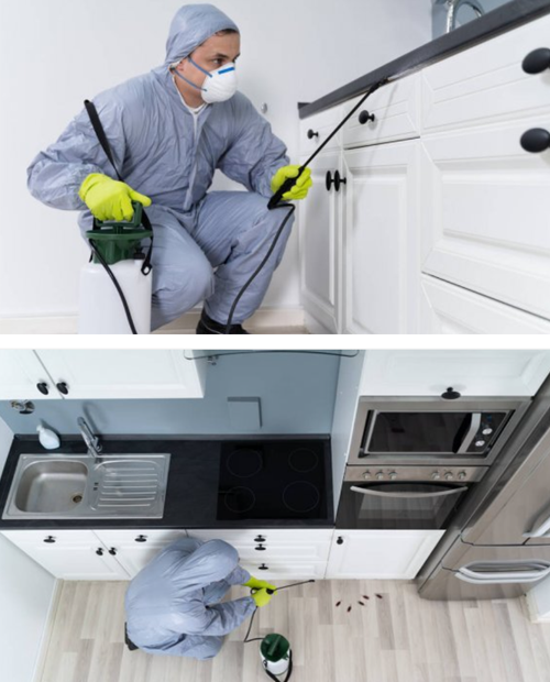 Green Man Pest Control Workers
